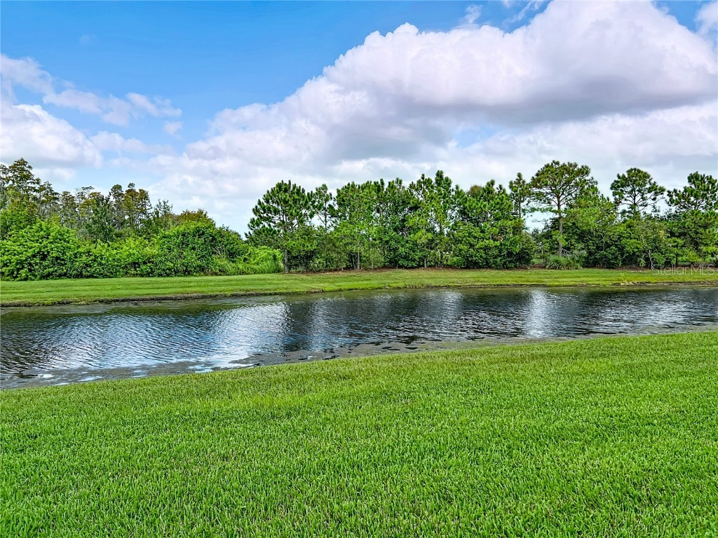 16113 Cape Coral Drive Wimauma FL 33598 TB8433984 image4