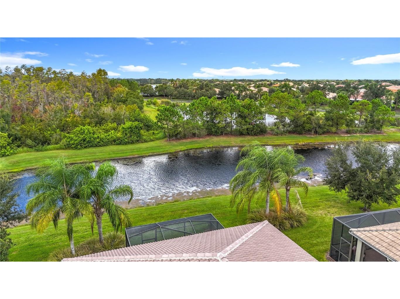 16113 Cape Coral Drive Wimauma FL 33598 TB8433984 image45