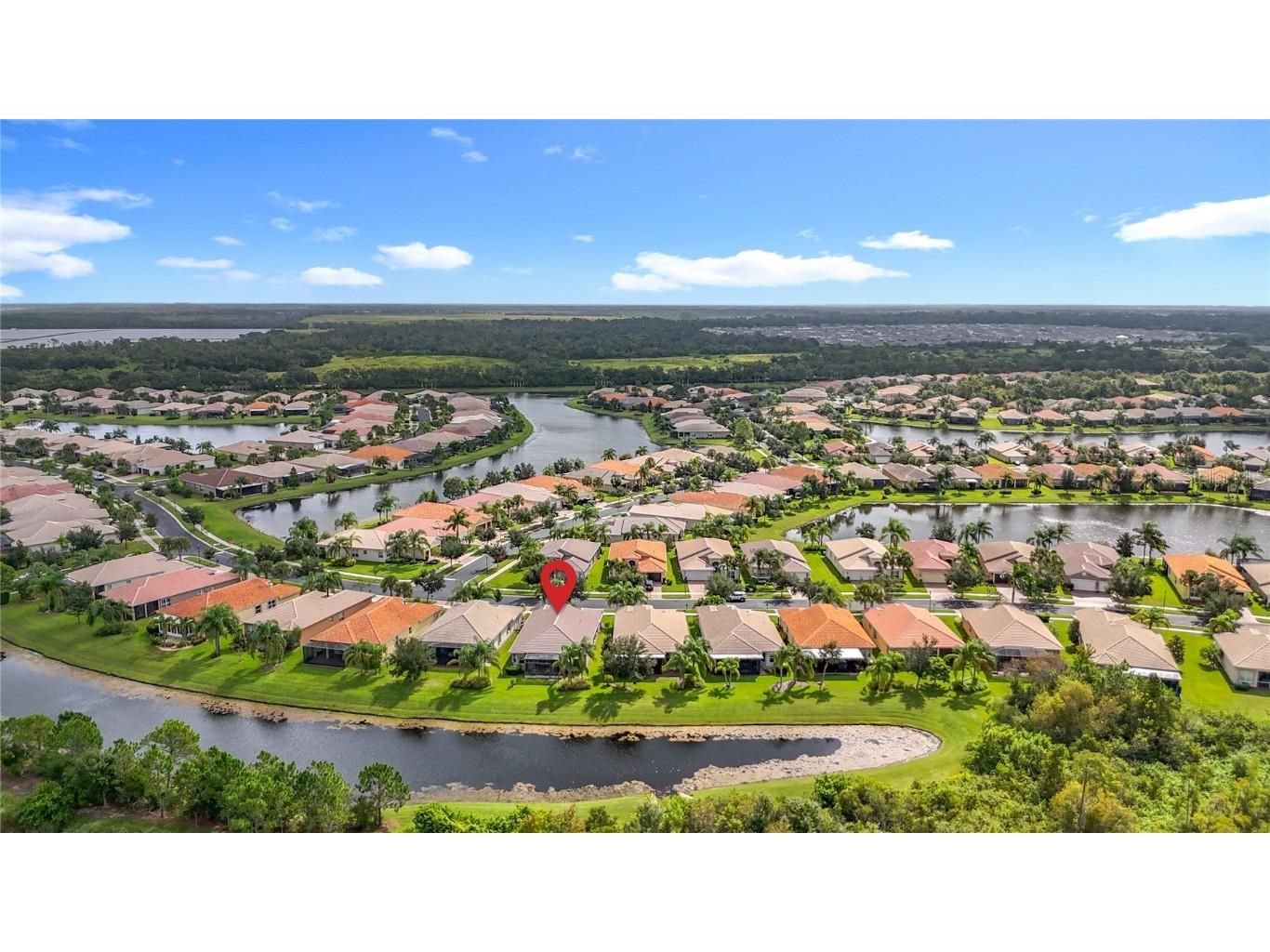 16113 Cape Coral Drive Wimauma FL 33598 TB8433984 image46