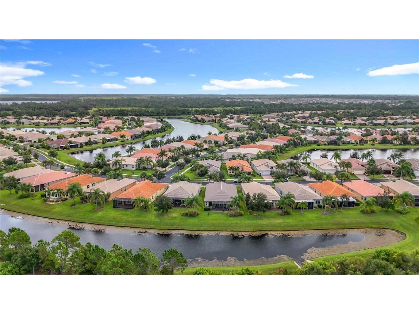 16113 Cape Coral Drive Wimauma FL 33598 TB8433984 image47