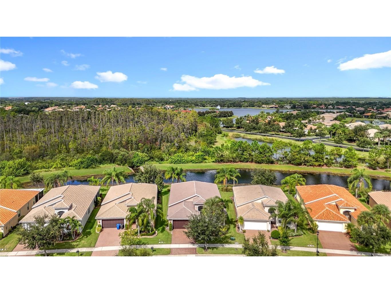 16113 Cape Coral Drive Wimauma FL 33598 TB8433984 image5