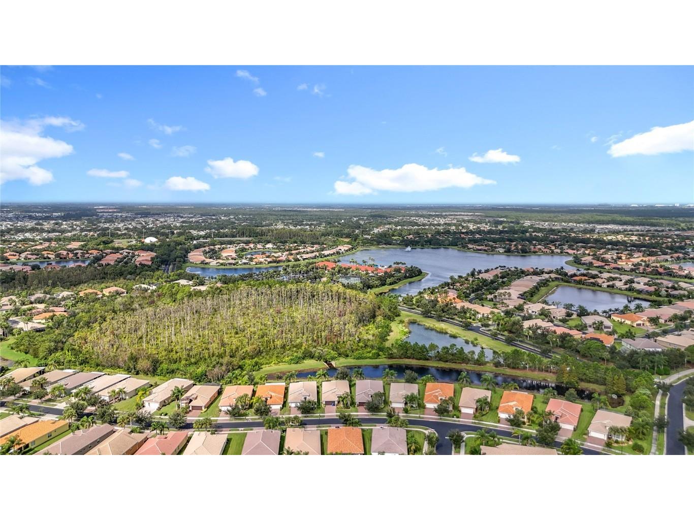 16113 Cape Coral Drive Wimauma FL 33598 TB8433984 image6