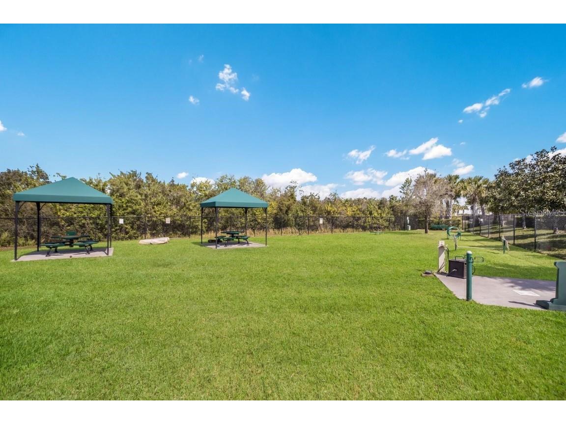 16113 Cape Coral Drive Wimauma FL 33598 TB8433984 image76