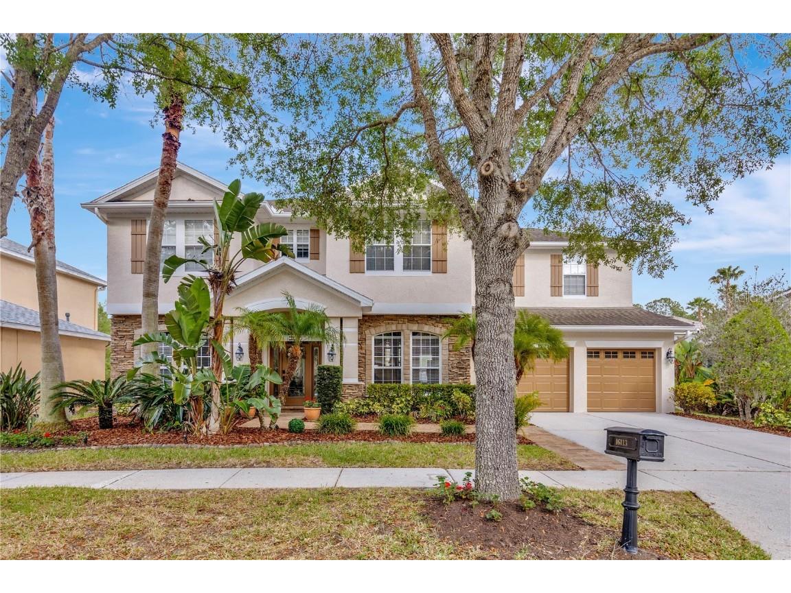 16113 Colchester Palms Drive Tampa FL 33647 T3437097 image1