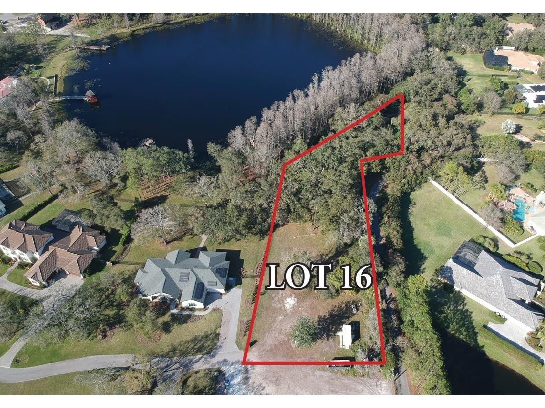 16115 Carencia Lane Odessa FL 33556 - LAKE POLITZ T3403819 image1