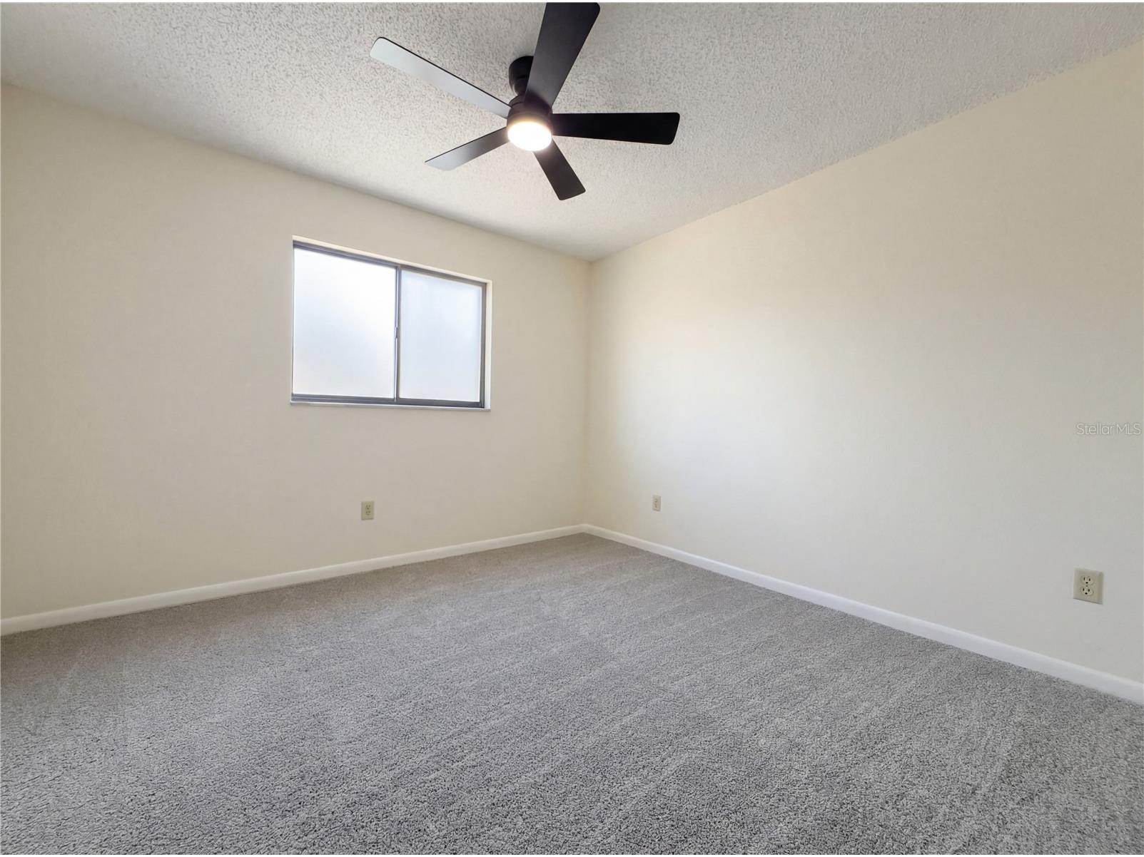 16116 Gardendale Drive Tampa FL 33624 O6383975 image16