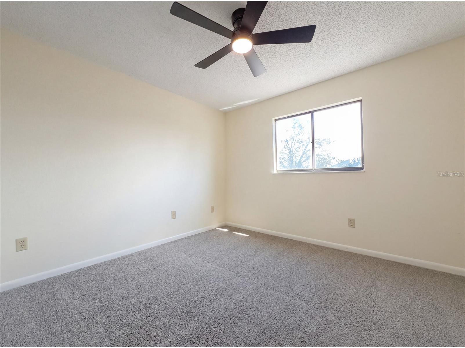 16116 Gardendale Drive Tampa FL 33624 O6383975 image17