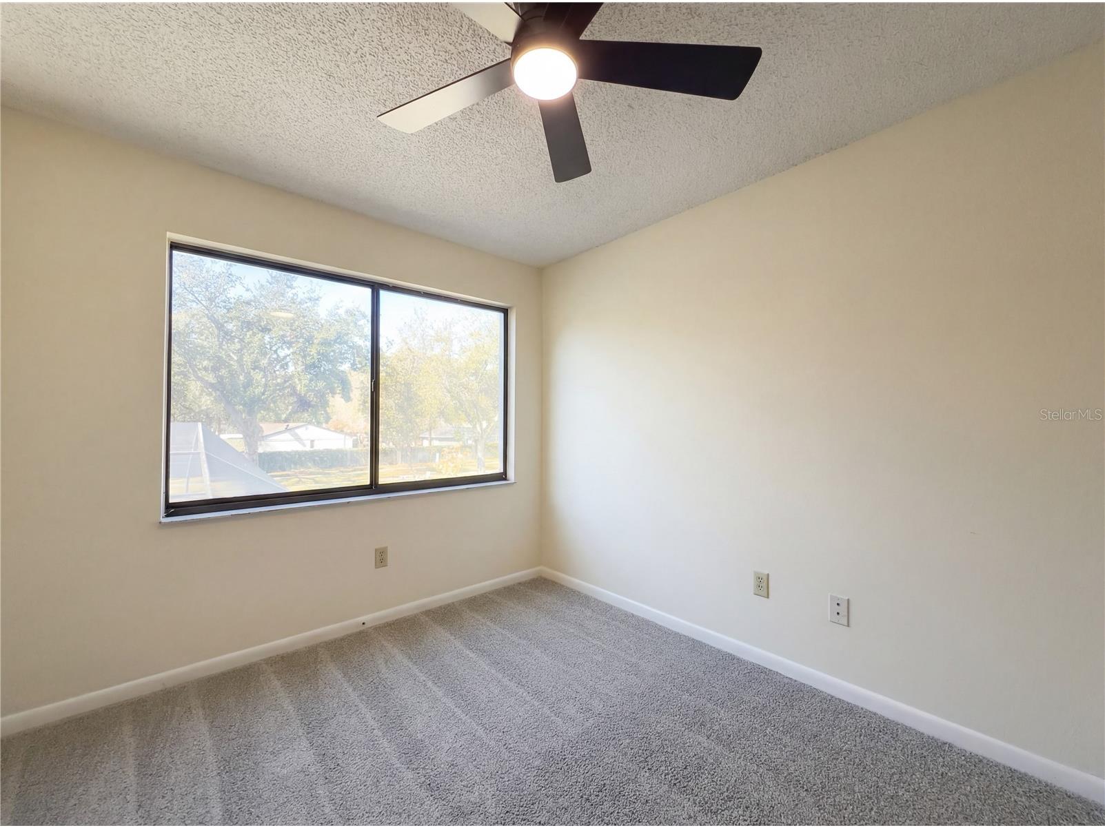 16116 Gardendale Drive Tampa FL 33624 O6383975 image20