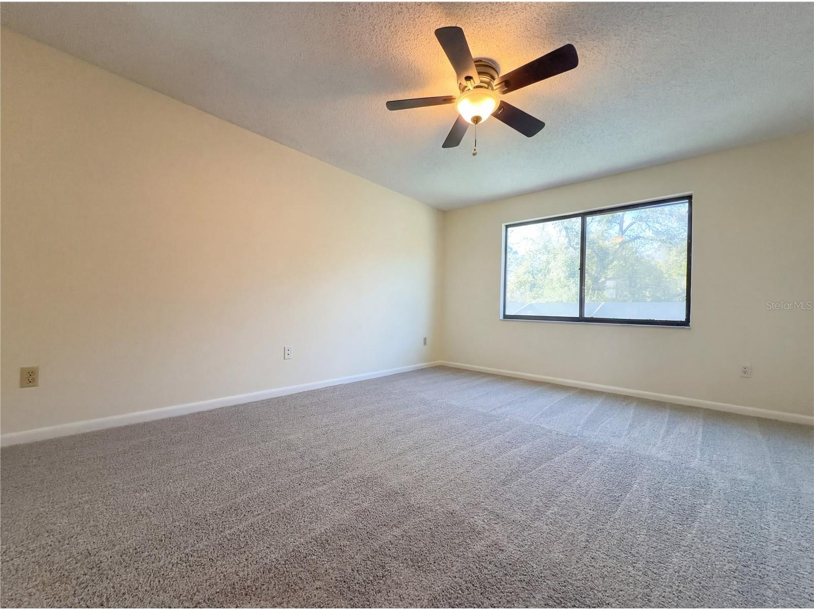 16116 Gardendale Drive Tampa FL 33624 O6383975 image22