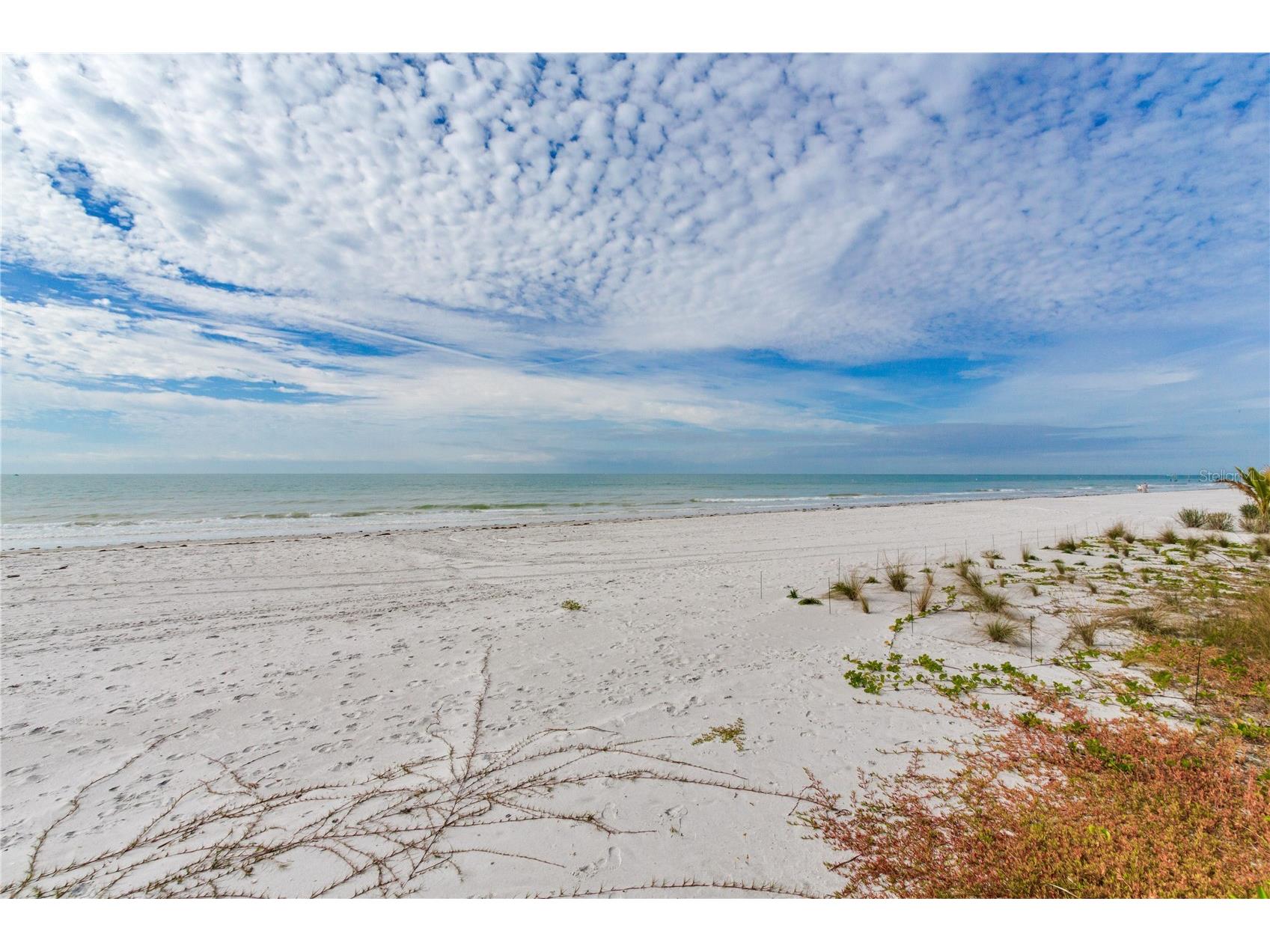 16116 Gulf Boulevard Redington Beach FL 33708 TB8462168 image34