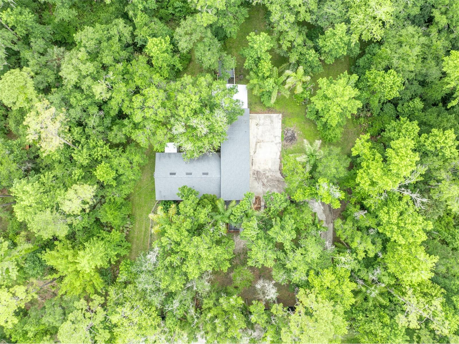 16116 Hamilton Drive Orlando FL 32833 - ECONLOCKHATCHEE RIVER O6407369 image43