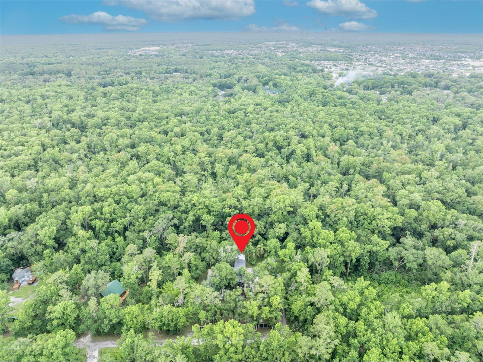 16116 Hamilton Drive Orlando FL 32833 - ECONLOCKHATCHEE RIVER O6407369 image44
