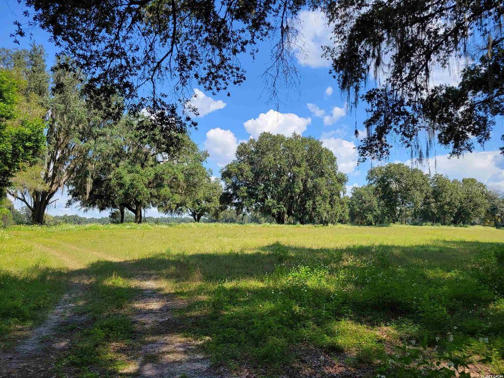 16116 NW 12th Avenue Newberry FL 32669 GC448212 image1