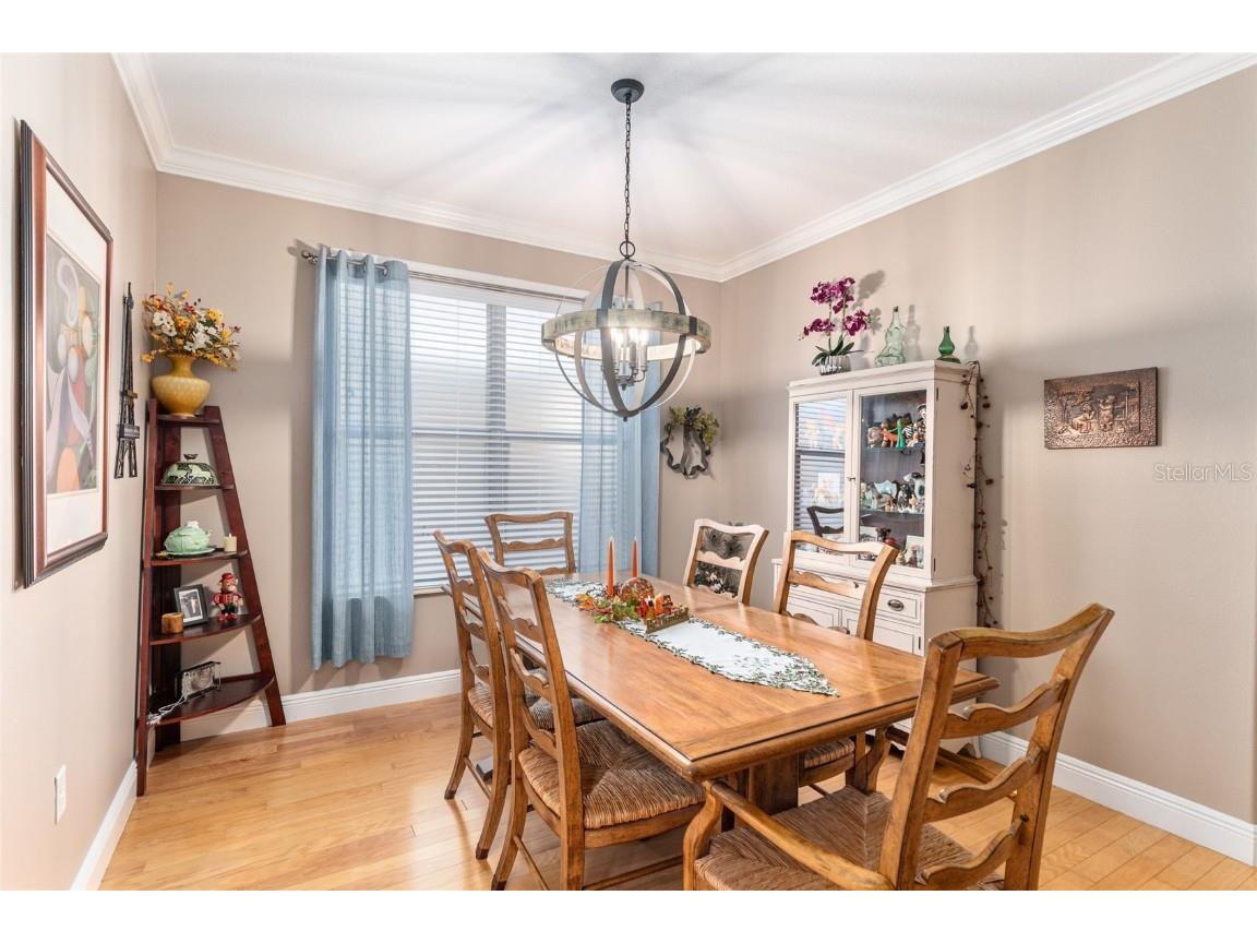 16116 SW 15th Court Ocala FL 34473 OM713282 image32