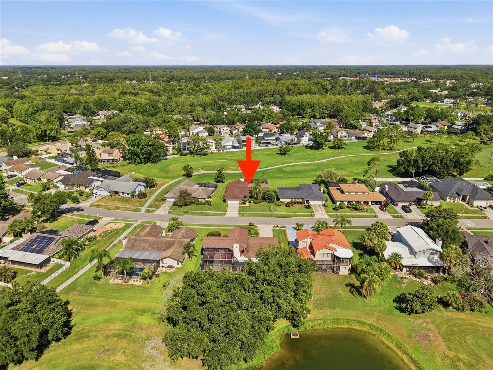 16116 W Course Drive Tampa FL 33624 TB8529541 image35