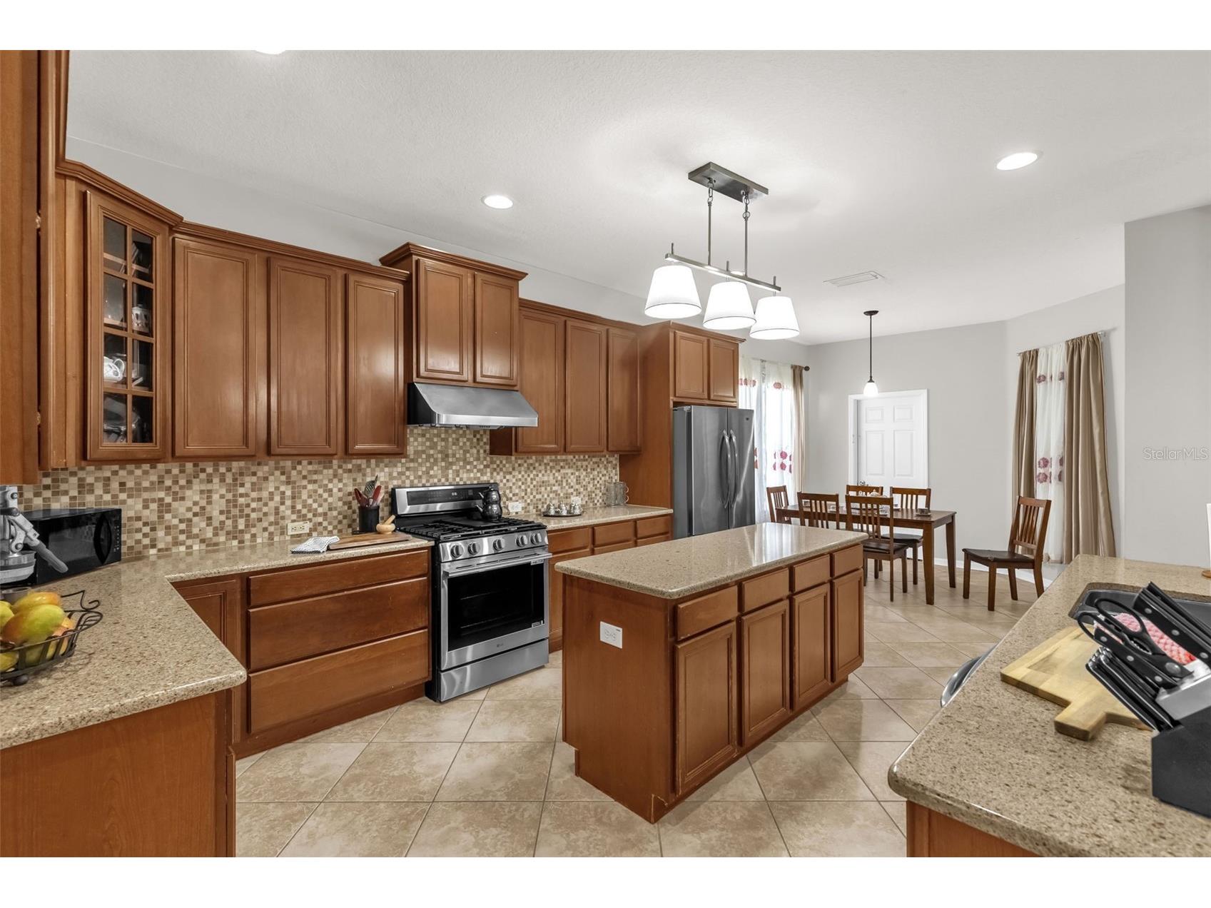 16117 Colchester Palms Drive Tampa FL 33647 O6409862 image18