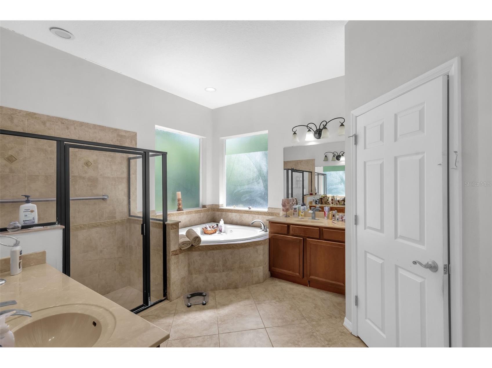 16117 Colchester Palms Drive Tampa FL 33647 O6409862 image28