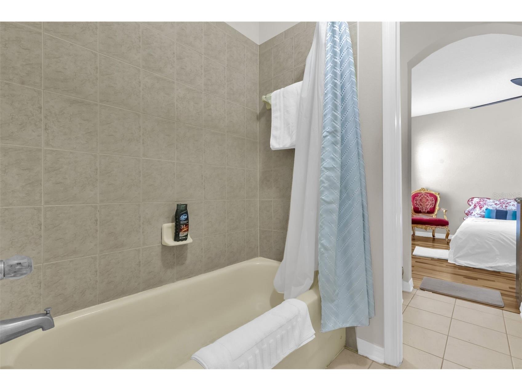 16117 Colchester Palms Drive Tampa FL 33647 O6409862 image33