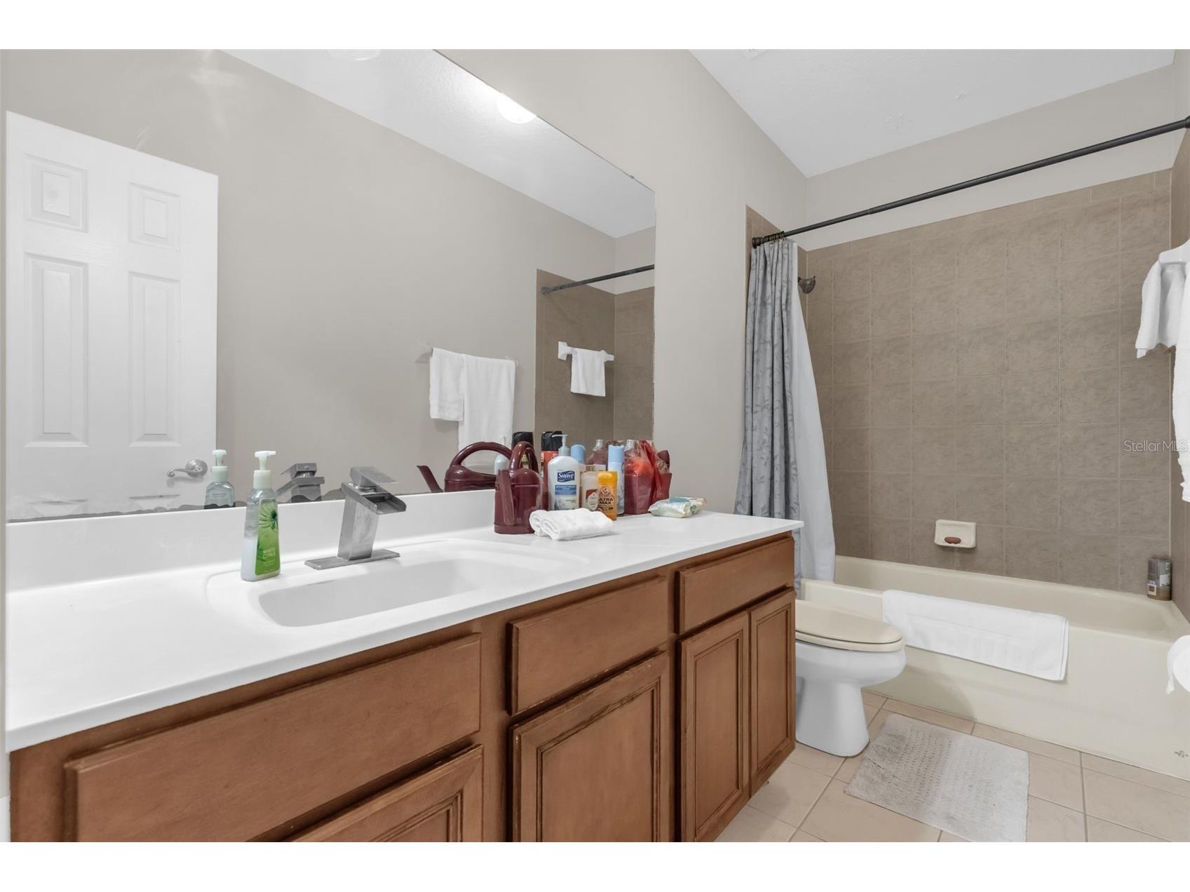 16117 Colchester Palms Drive Tampa FL 33647 O6409862 image37