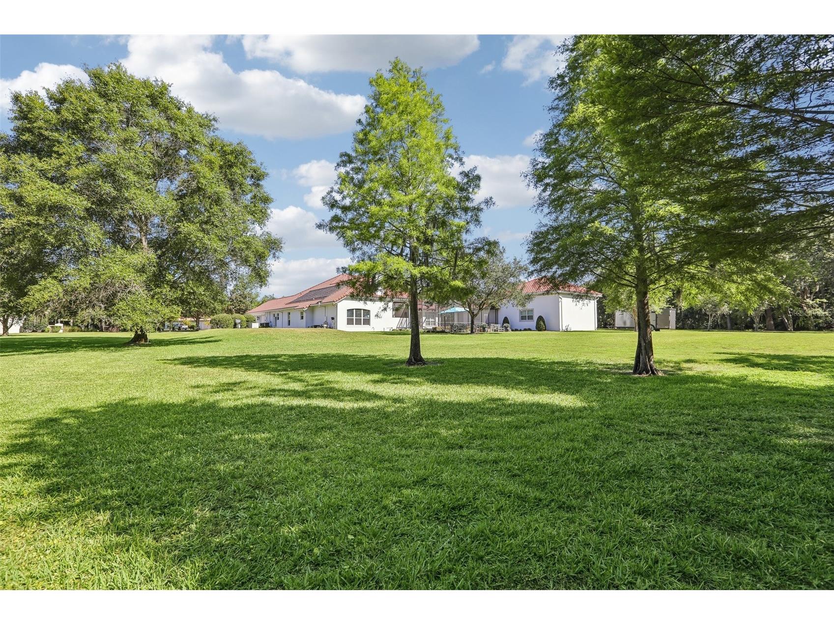 16117 Suncrest Shores Drive Odessa FL 33556 - LAKE ARMISTEAD TB8503915 image41