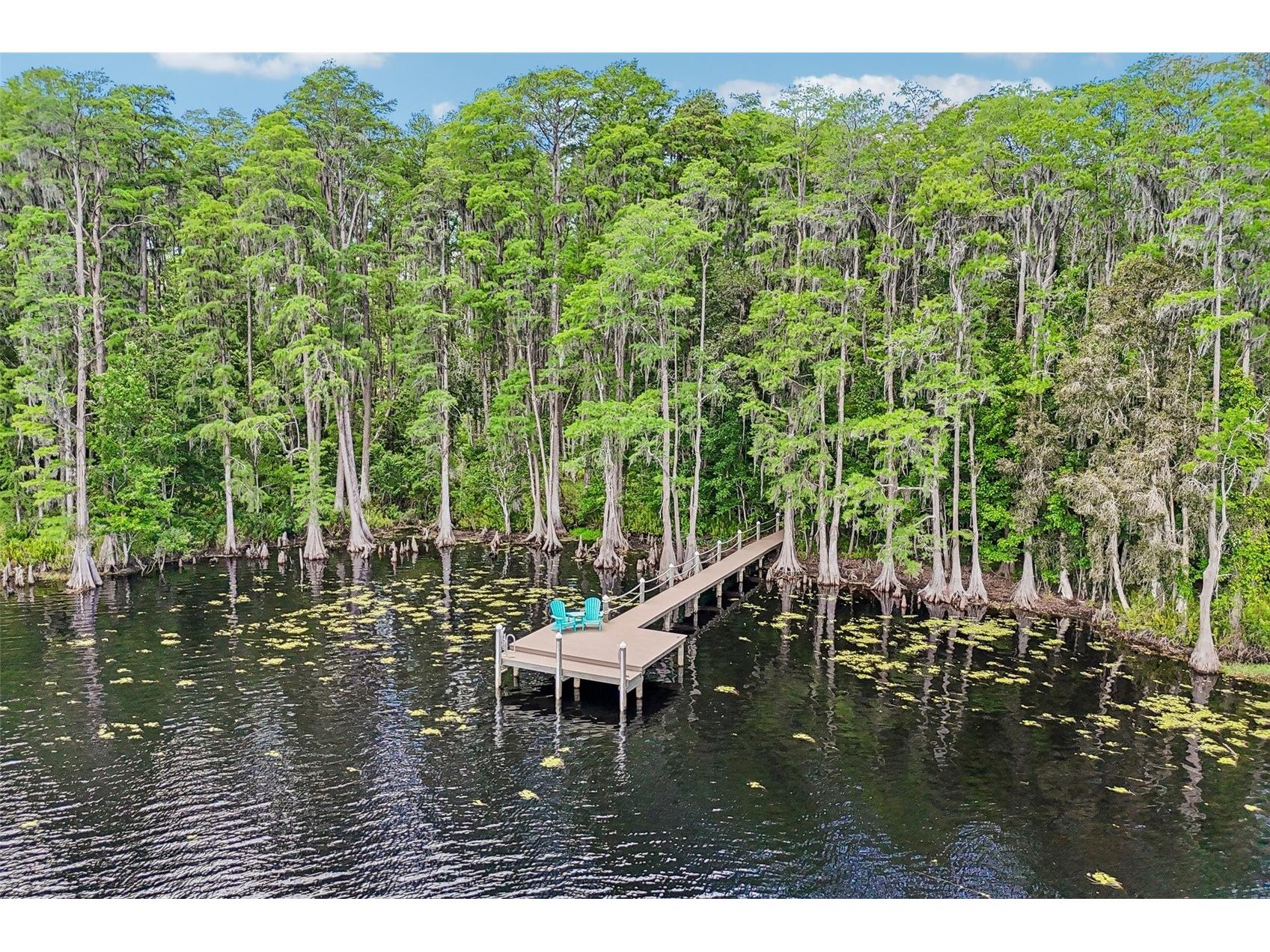 16117 Suncrest Shores Drive Odessa FL 33556 - LAKE ARMISTEAD TB8503915 image57