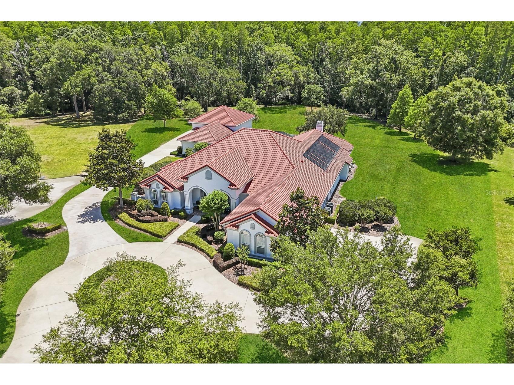 16117 Suncrest Shores Drive Odessa FL 33556 - LAKE ARMISTEAD TB8503915 image58