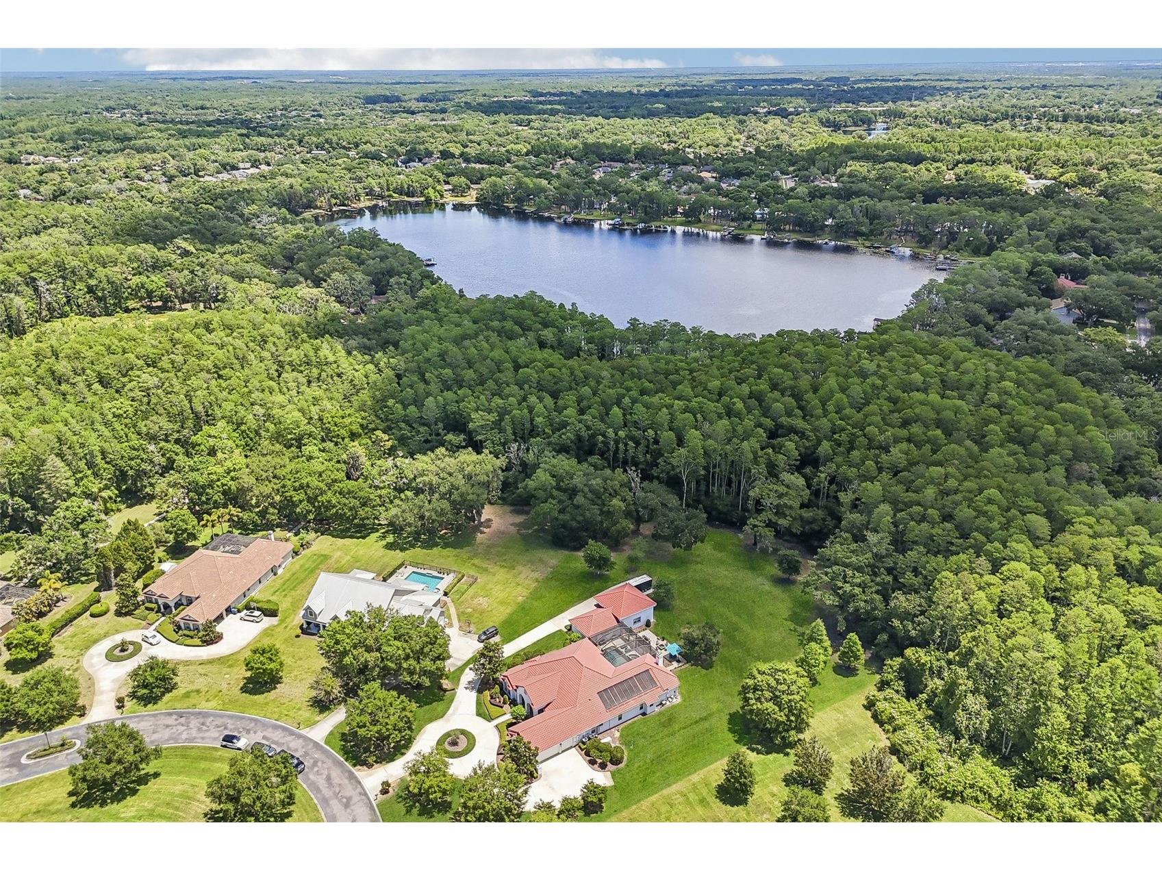 16117 Suncrest Shores Drive Odessa FL 33556 - LAKE ARMISTEAD TB8503915 image6