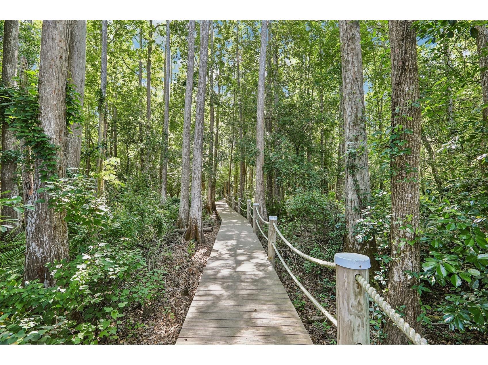 16117 Suncrest Shores Drive Odessa FL 33556 - LAKE ARMISTEAD TB8503915 image7