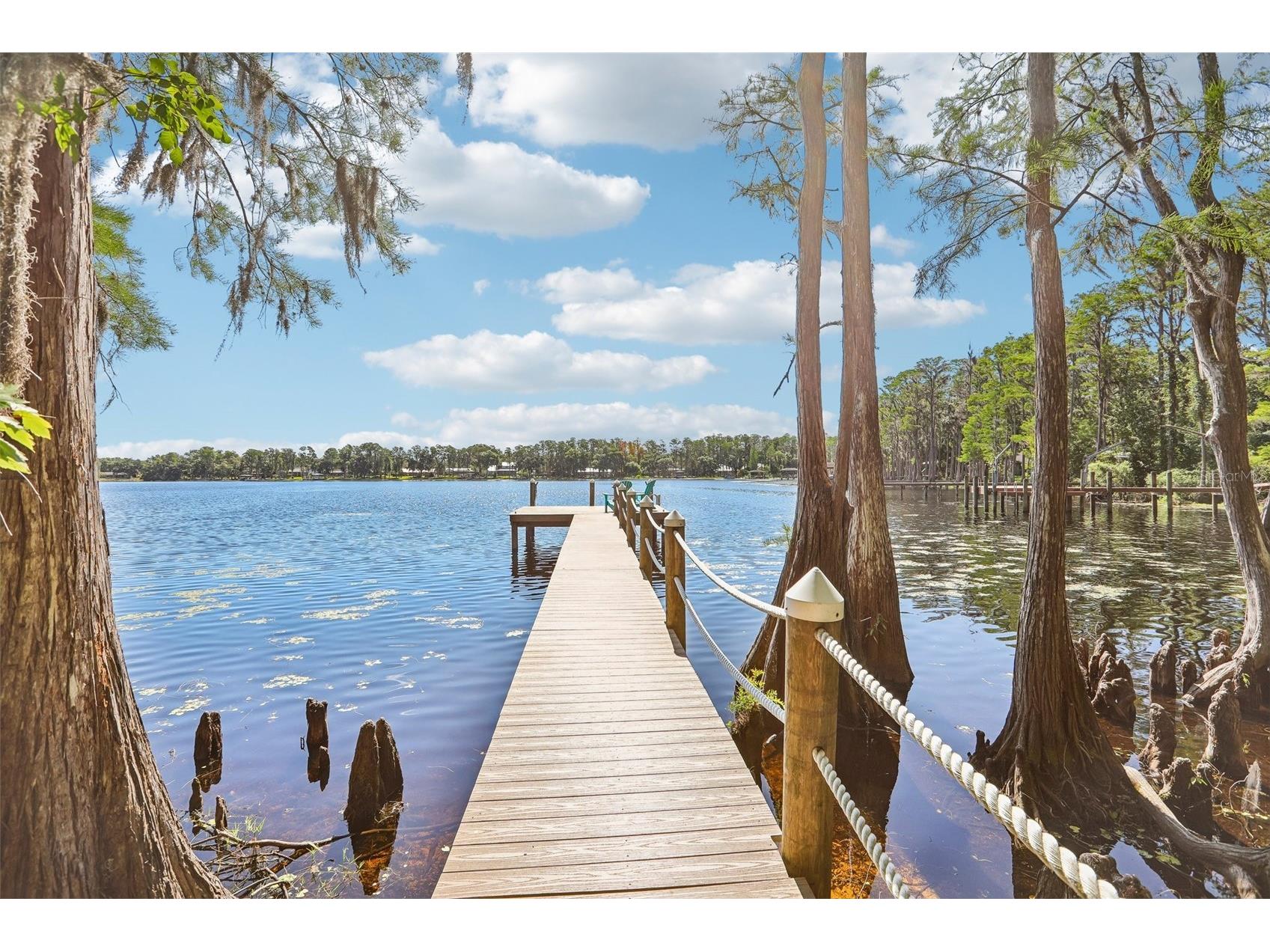 16117 Suncrest Shores Drive Odessa FL 33556 - LAKE ARMISTEAD TB8503915 image8