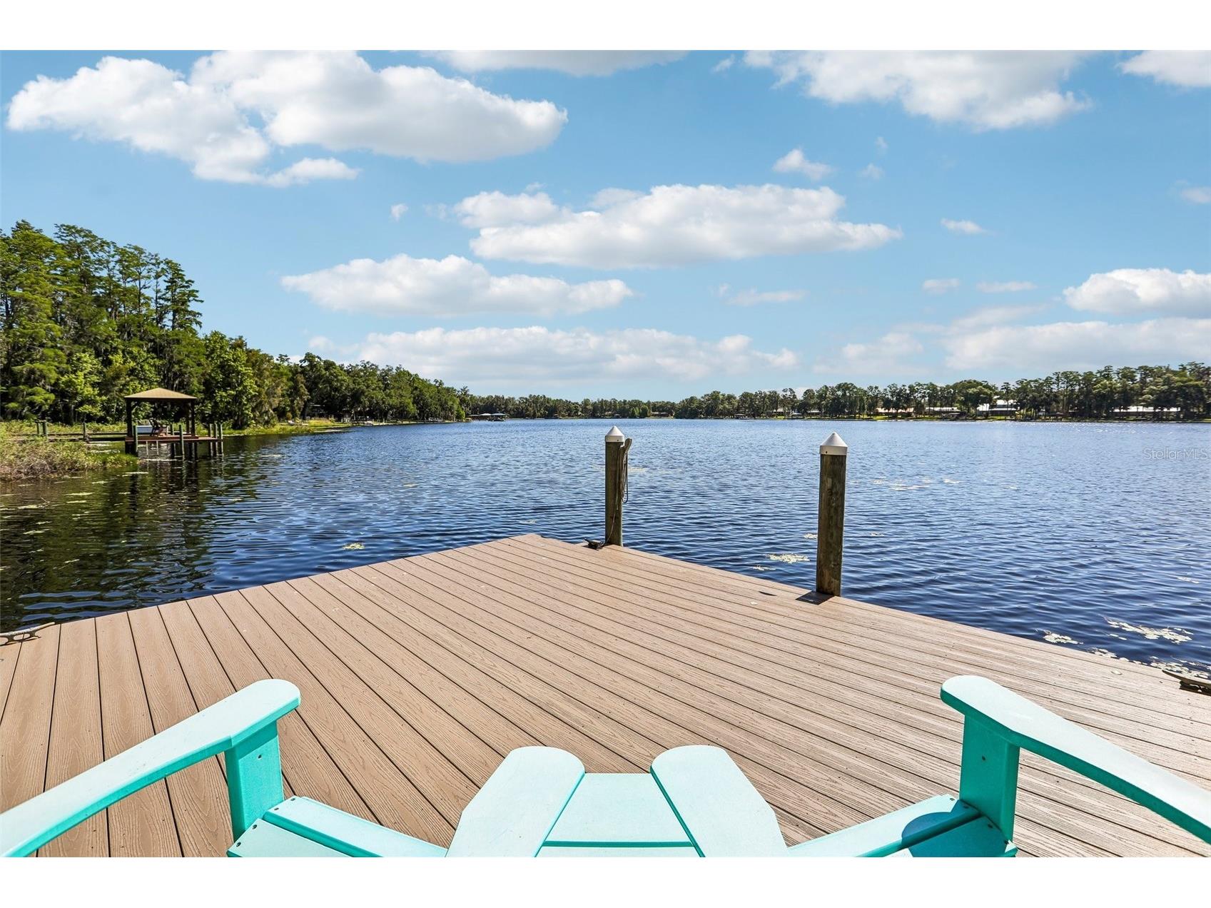 16117 Suncrest Shores Drive Odessa FL 33556 - LAKE ARMISTEAD TB8503915 image9