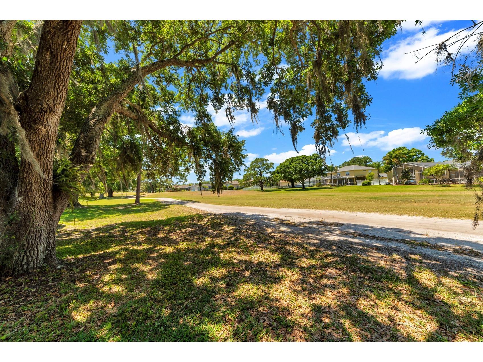 16118 Muirfield Drive Odessa FL 33556 O6401648 image13