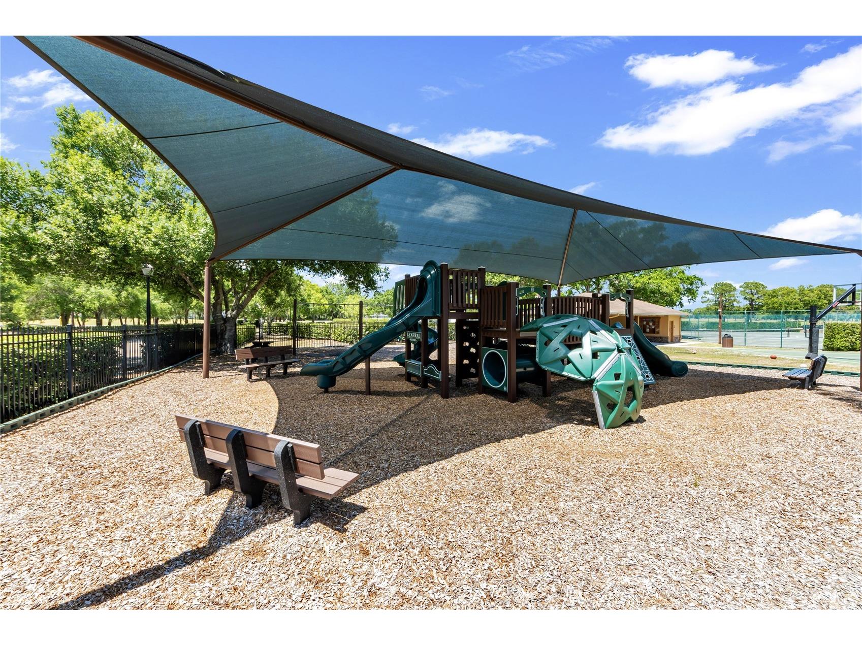 16118 Muirfield Drive Odessa FL 33556 O6401648 image41