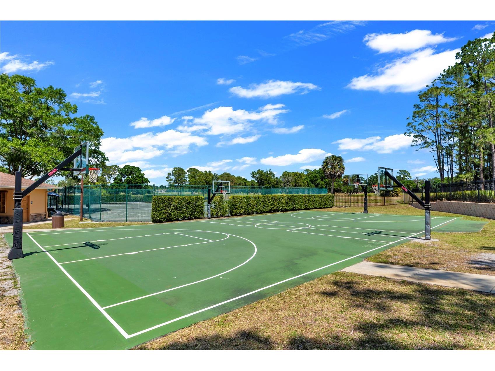 16118 Muirfield Drive Odessa FL 33556 O6401648 image42