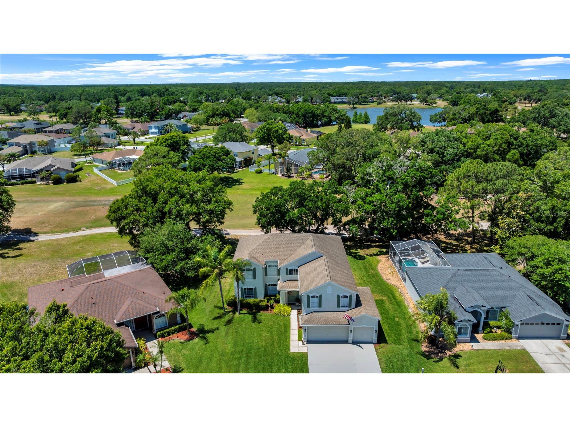 16118 Muirfield Drive Odessa FL 33556 O6401648 image5
