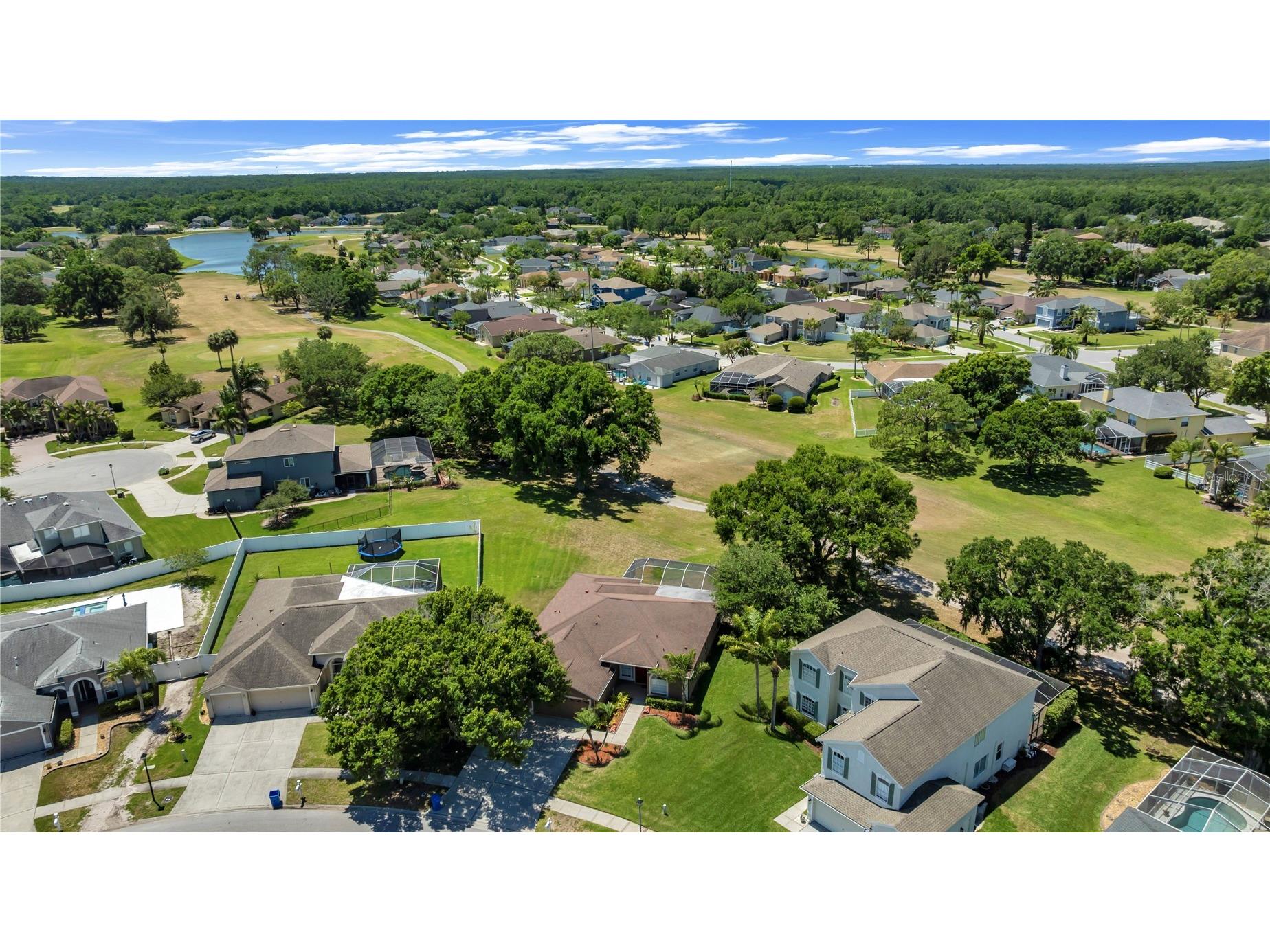16118 Muirfield Drive Odessa FL 33556 O6401648 image6