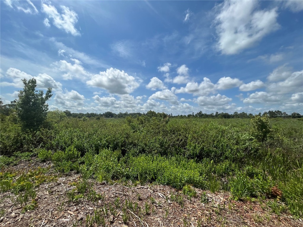 16118 NW 298th Street Okeechobee FL 34972 OK222742 image1
