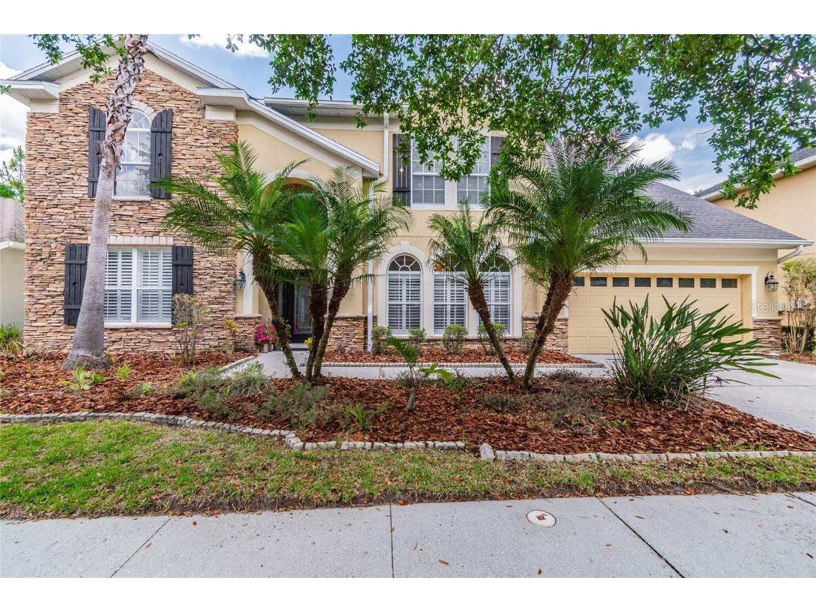 16119 Colchester Palms Drive Tampa FL 33647 T3439878 image1