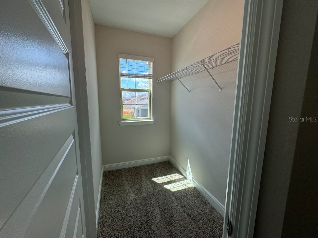 16119 Skysail Street Winter Garden FL 34787 O6359902 image32