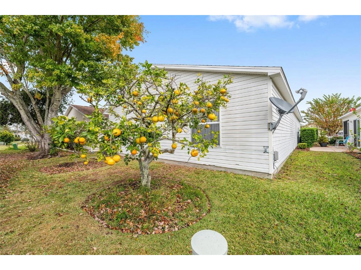 1612 Campos Drive The Villages FL 32162 OM714446 image30