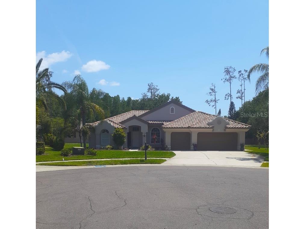 1612 Chatam Court Oldsmar FL 34677 U8197014 image1