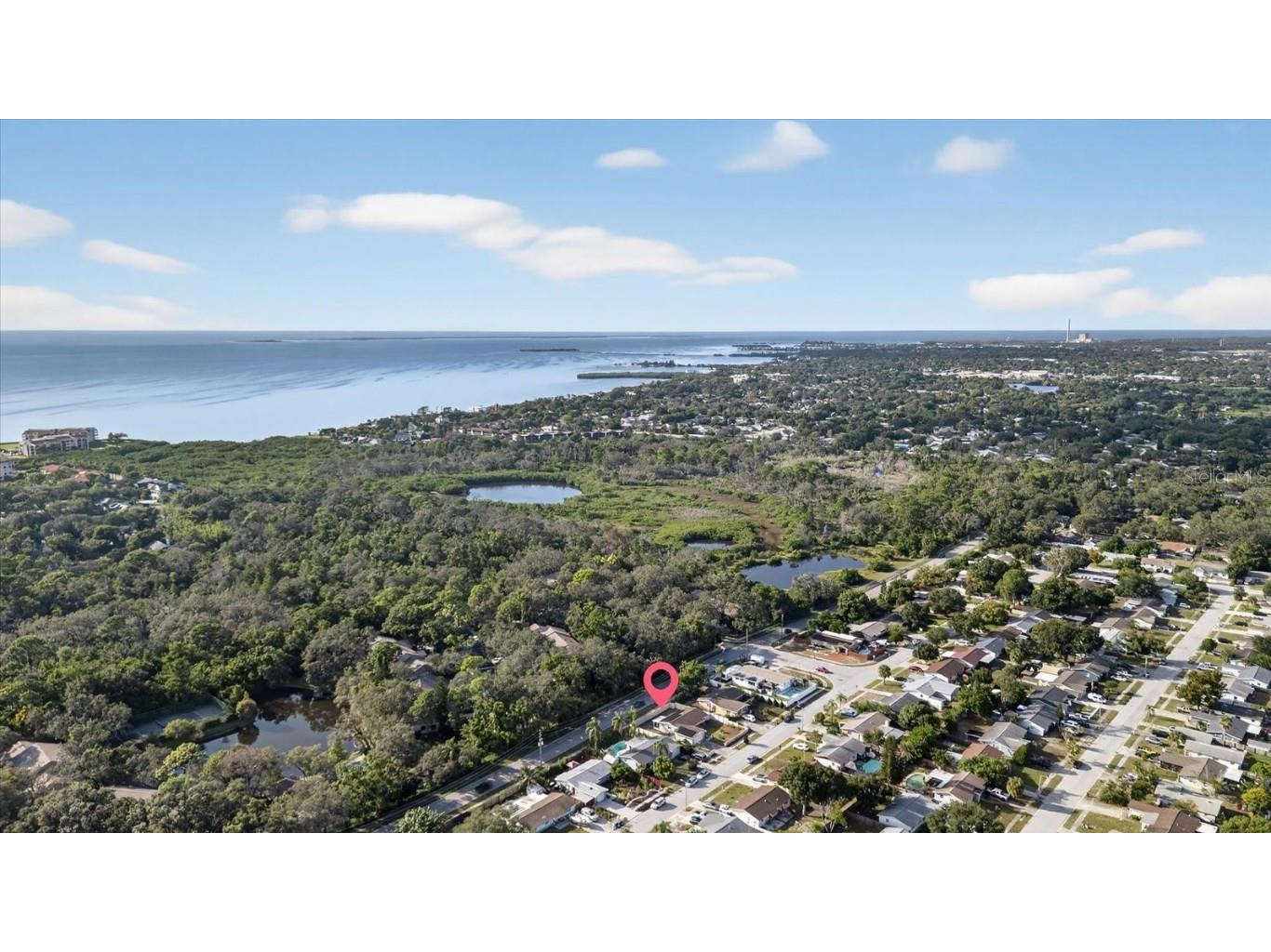 1612 Coppertree Drive Tarpon Springs FL 34689 W7879515 image6