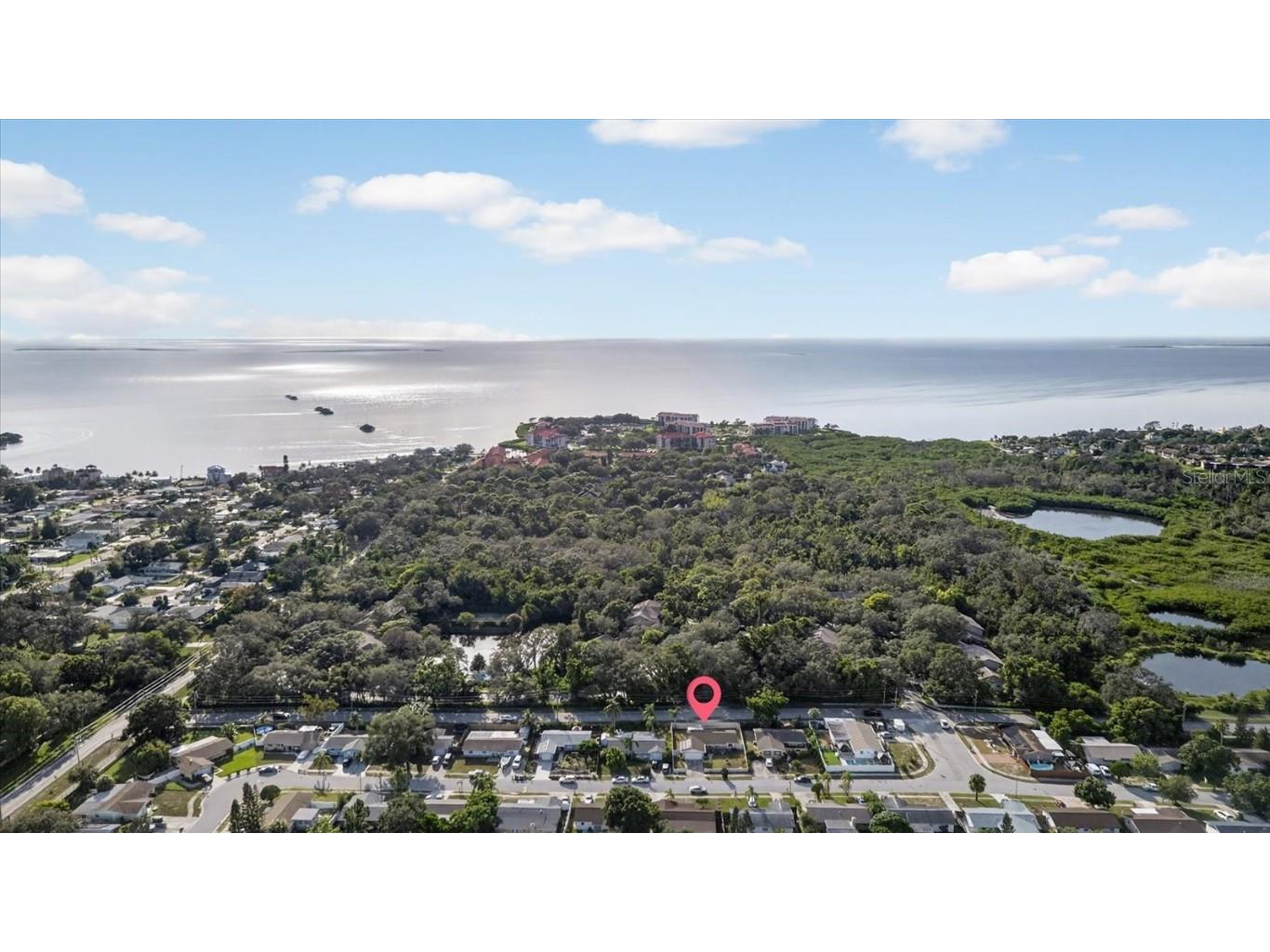 1612 Coppertree Drive Tarpon Springs FL 34689 W7879515 image7