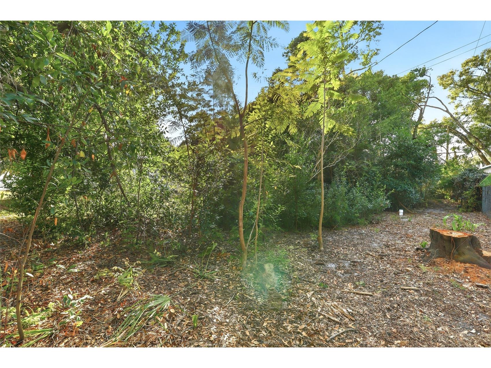 1612 E Main Street Lakeland FL 33801 - LAKE BONNY TB8456345 image35