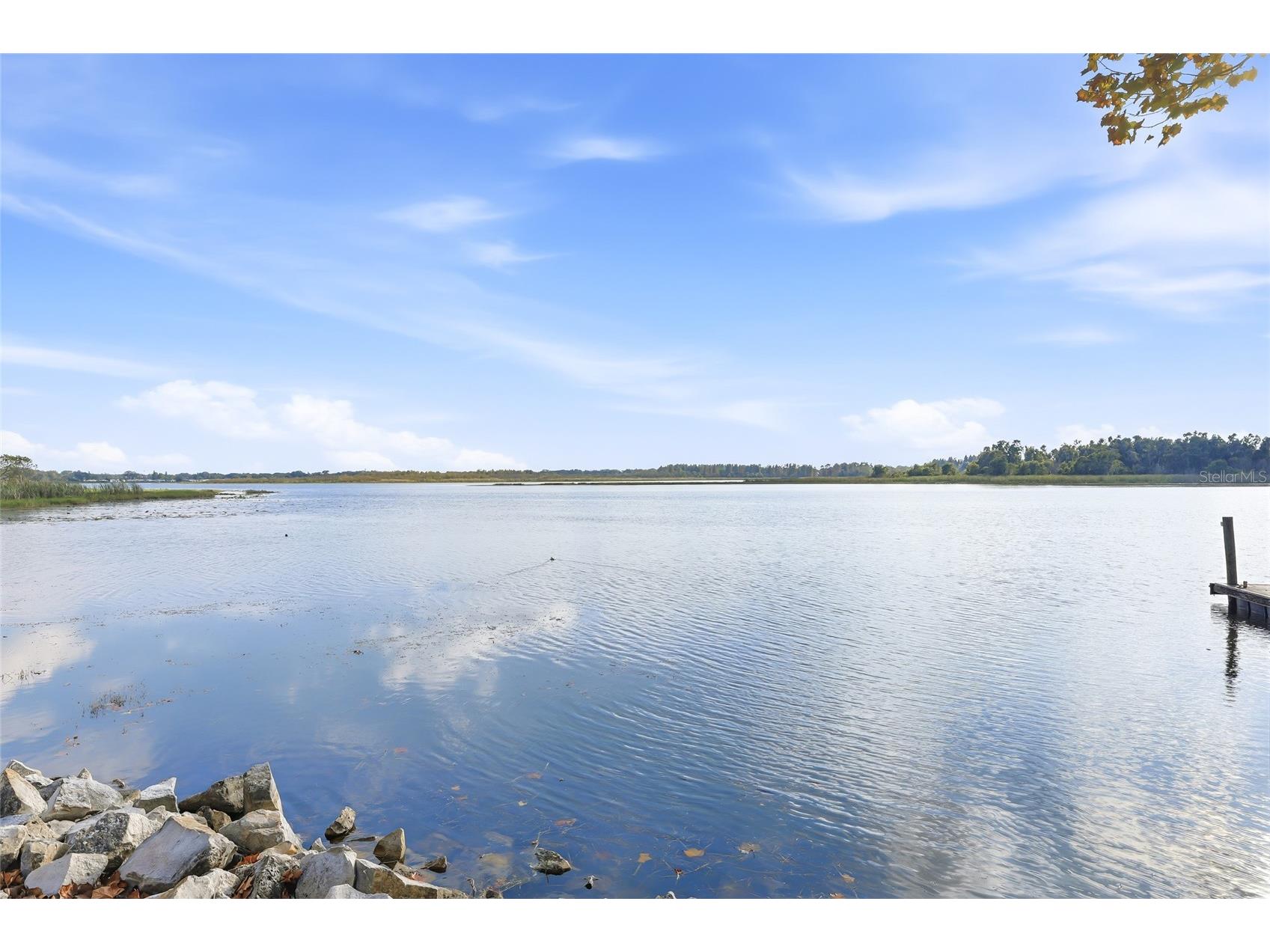 1612 E Main Street Lakeland FL 33801 - LAKE BONNY TB8456345 image40