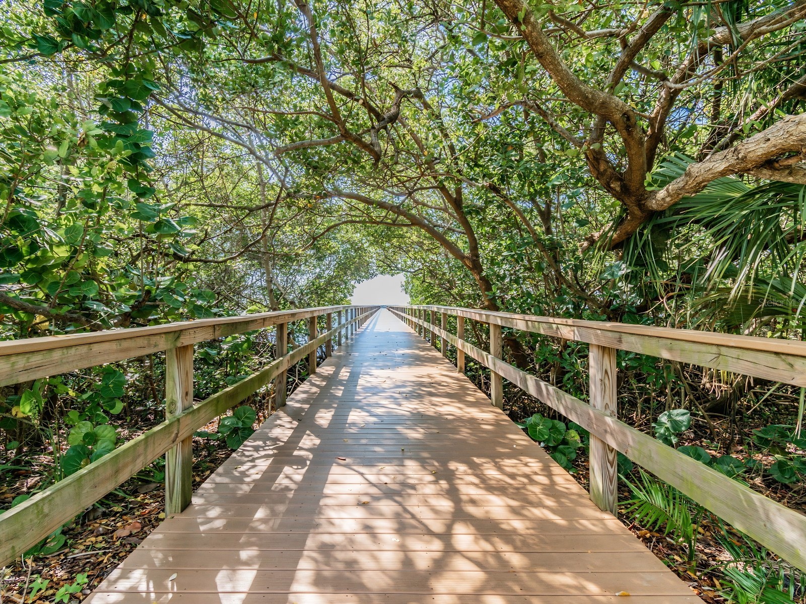 1612 Fairway Trace #A Palmetto FL 34221 TB8497175 image32