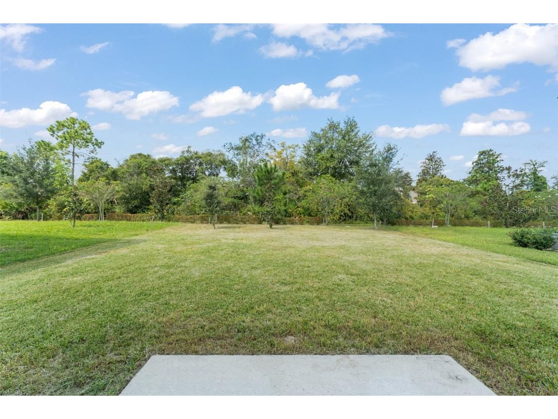 1612 Hill Park Drive Deltona FL 32725 O6346768 image29