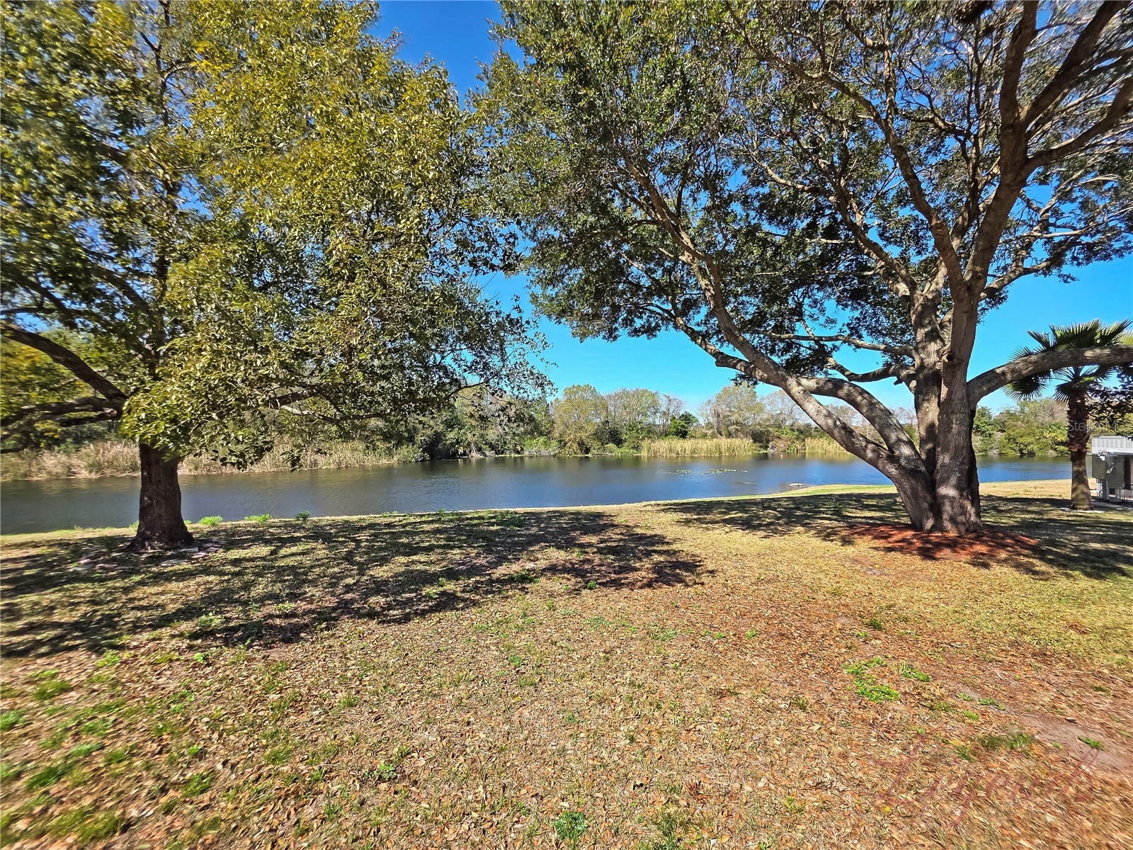 1612 Slash Pine Place Oviedo FL 32765 O6367727 image24