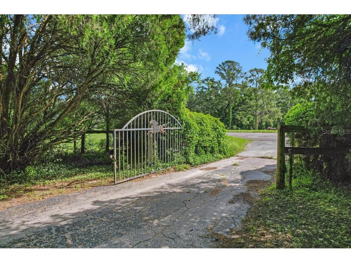 16120 NW Us Highway 27 Williston FL 32696 OM701590 image18