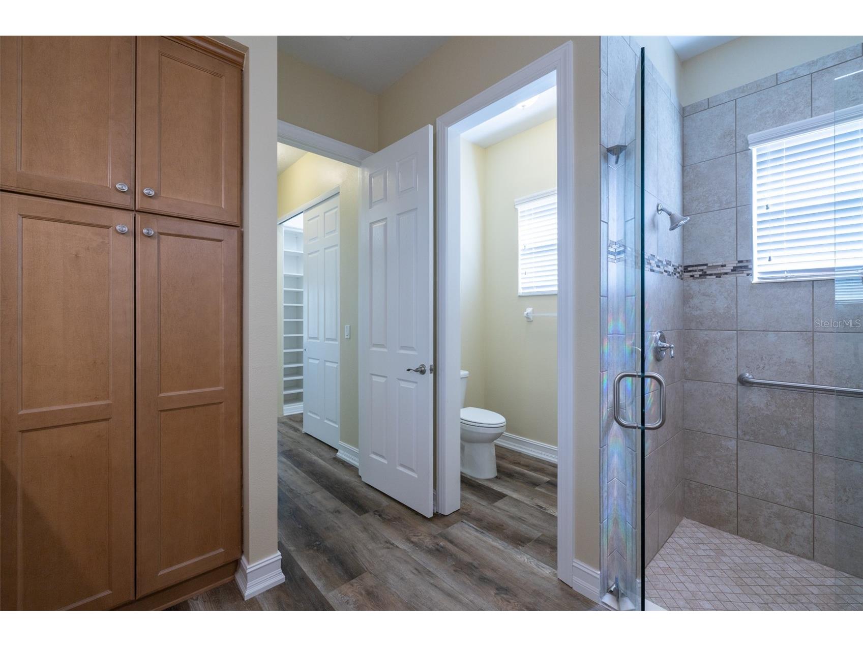 16122 Cedar Key Drive Wimauma FL 33598 TB8488983 image51