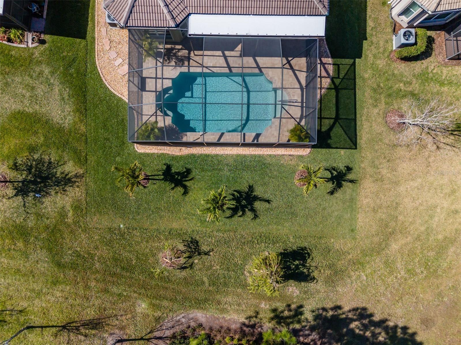 16122 Cedar Key Drive Wimauma FL 33598 TB8488983 image55